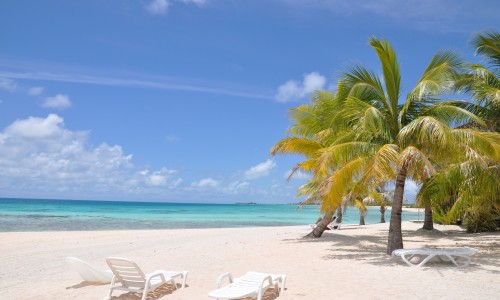 Pension Tikehau Paradise